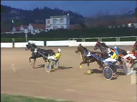 Trotto 24/11/2017 - 4ª corsa