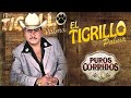 El Tigrillo Palma - Corridos Perrones Mix - Pa' Pistear