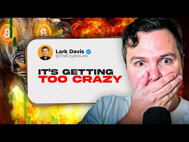 Lark Davis – OMG! BITCOIN FOMO IS OFF THE CHARTS (19.11.2024 Summary)