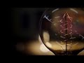 About Kiddie Academy TV Commercial Amazing