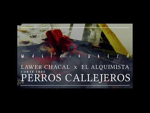 LAWER CHACAL X EL ALQUIMISTA -03 .Perros Callejeros- #MAGIAYPUREZA