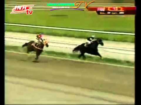 LA RINCONADA 13 CARRERA SABADO 29 DE NOVIEMBRE DEL 2014