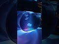 Is It Possible To Get A Small Jellyfish Aquarium At Low Cost