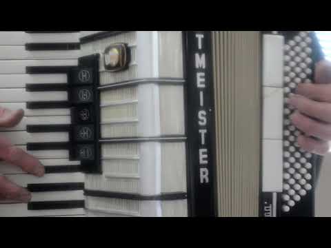 Immagine Top German Made Accordion Weltmeister Amigo 80 bass,8 sw.+Original Case+Straps~Akkordeon~Fisarmonica - 13