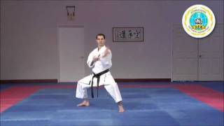 Download lagu Seienchin - International Hayashi-Ha Shito-Ryu mp3