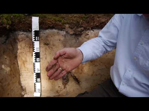 LGS Bad Lippspringe Gruenes Klassenzimmer Podsol