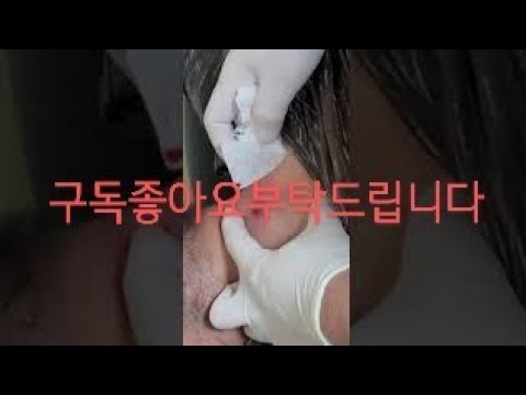 아이콘