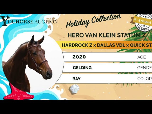 Hero van Klein Statum Z