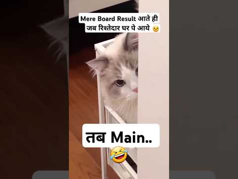 Relatable 😫🤣#funny #catvideos #kitty #cute #jokes #youtube #reels #tiktok #viralvideo #comedyvideo