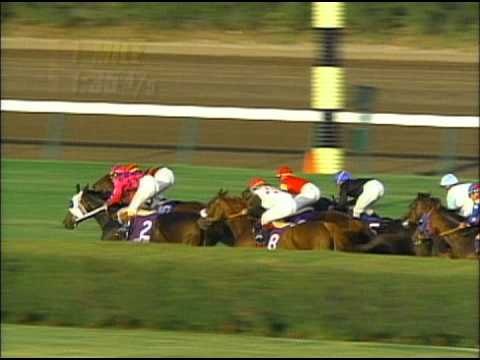 1992 Breeders' Cup Turf