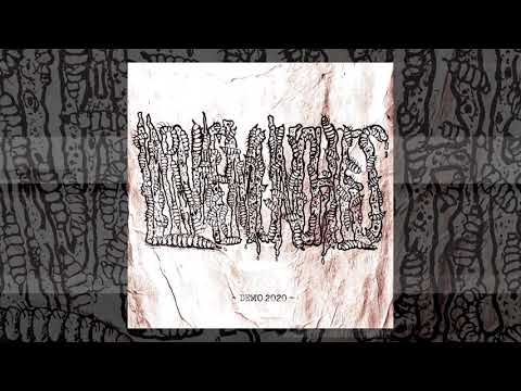 LARVAE MUNCHIES - Demo 2020