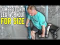 Dumbbell Only Leg Workout For SIZE (This is No Joke)