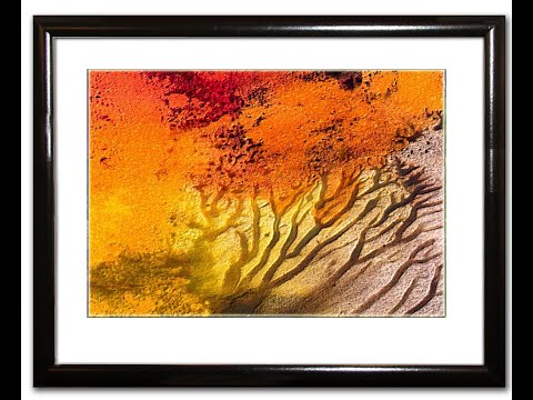 Natur anders gesehen