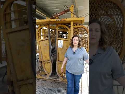 Dr. Sara May, Allergy and Immunology