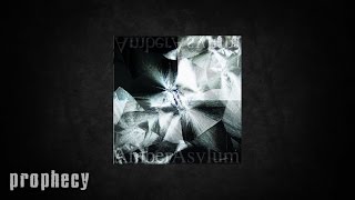 Amber Asylum - Black Phoebe