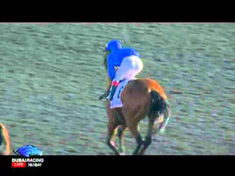 03.02.2012 Meydan (Dubai UAE) 3.Race UAE 1000 Guineas 2012 - List 1.600 m