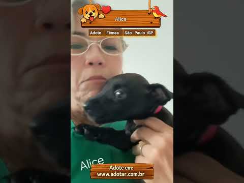 Vídeo de Alice