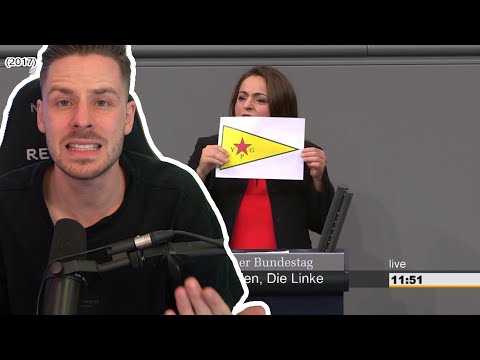 Reaktion auf Alle Ordnungsrufe und Rügen (2017-2019) | Kleiner Ex Kurs in die Politik mit REWI