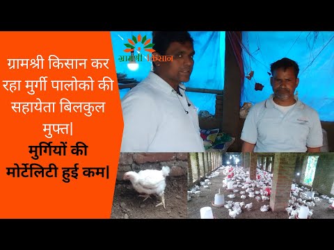 Poultry farm training service