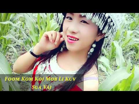 Foom Kom Koj Mob Li Kuv - Sua Vaj