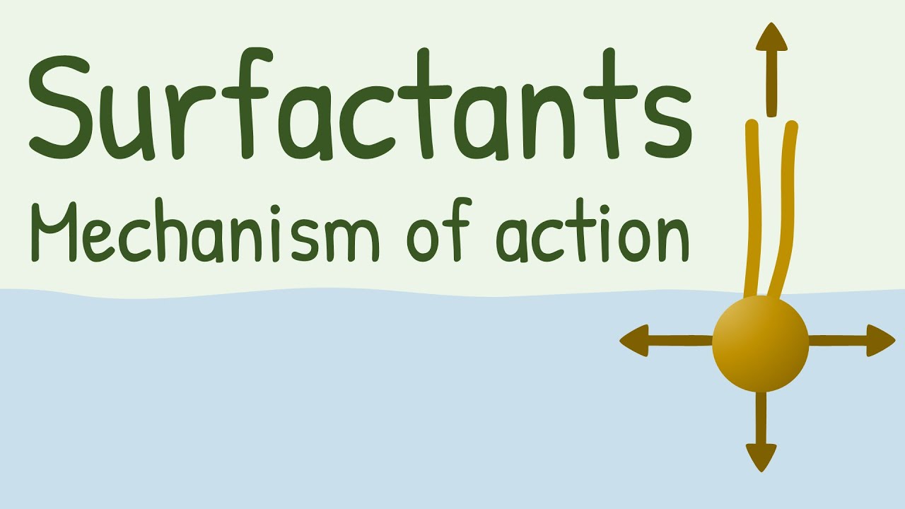 Surfactants Mechanism of Action