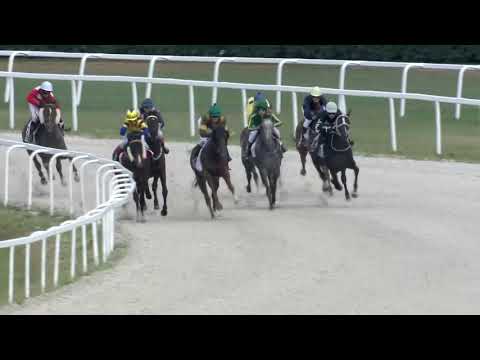 2018.08.05. 06. futam - DÁMAVERSENY HENDIKEP (V.o.) (szintetikus pálya)