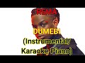 REMA - DUMEBI (Instrumental/Karaoke Piano)