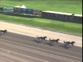 MSOA TV October 26 Qualifying Races