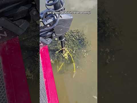 garmin force pro trolling motor aint playin yal #Garmin #virginia #lakeanna