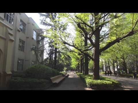 Eliza Gilkyson - Before The Deluge