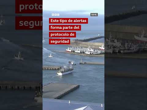 Barcos abandonan un puerto en Japón tras emitirse una alerta de tsunami