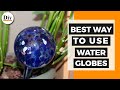 Best Way to Use Water Globes for Plants - Best Way to Water Houseplants