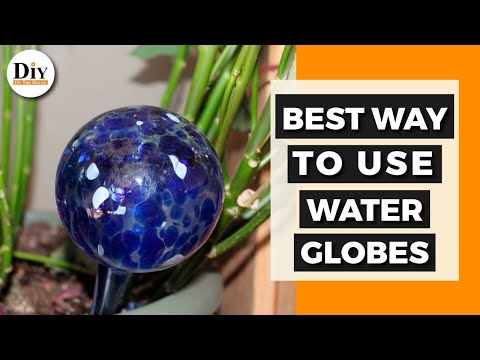 YouTube video about: Are watering globes good for all plants?