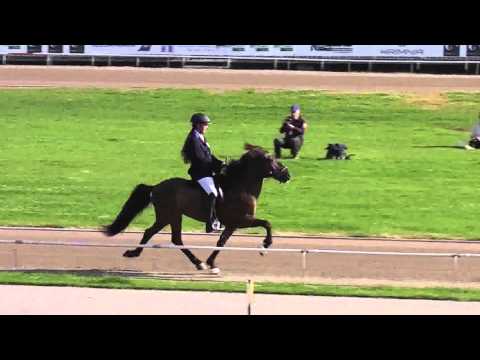 Háfeti von St. Radegund, WC15T1