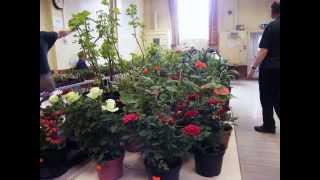 Plant Sale 2013 - VIDEO EVIDENCE