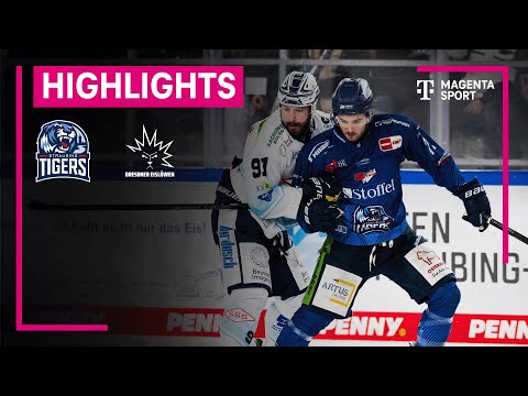 Straubing Tigers - Dresdner Eislöwen | PENNY DEL | MAGENTA SPORT