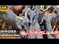 Aattu Santhai Thandarampattu ஆட்டு சந்தை தண்டராம்பட்டு