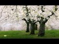 Bette Midler - God Is Watching Us