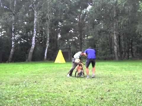 Virgil Malidaj, Honza a Venca