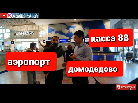 Аэропорт домодедово чартерный рейс