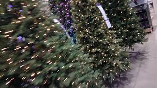 Christmas Trees At Lowe's 2021