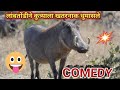 Laxmikant Bhise Animal Comedy Animal Dubbing And Dukkar Comedy Video