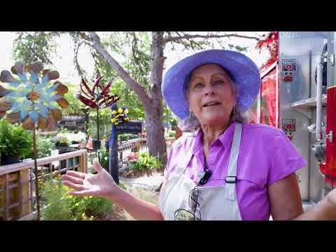 More about Wind Spinners