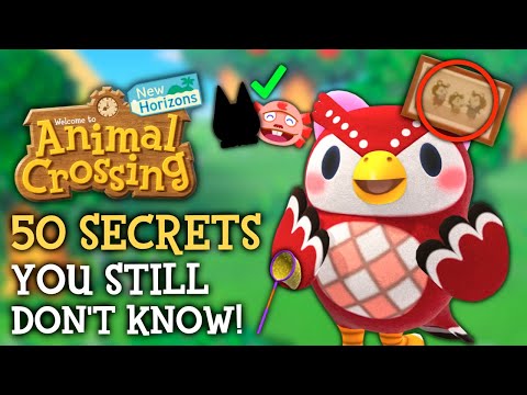 50 SECRETS You STILL Don't Know - Animal Crossing New Horizons