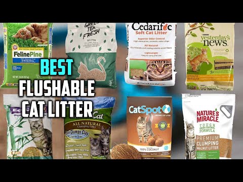 Top 5 Best Flushable Cat Litters [Review] - Sustainably Natural & Flushable Cat Litter [2022]