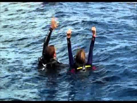 Open Water Trailer (Unofficial)