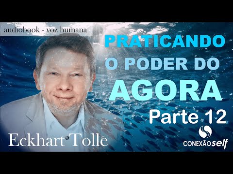PRATICANDO O PODER DO AGORA | Eckhart Tolle - Parte 12 - Audiolivro