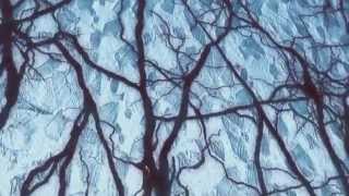 The Shout Out Louds Encounter Blue Ice