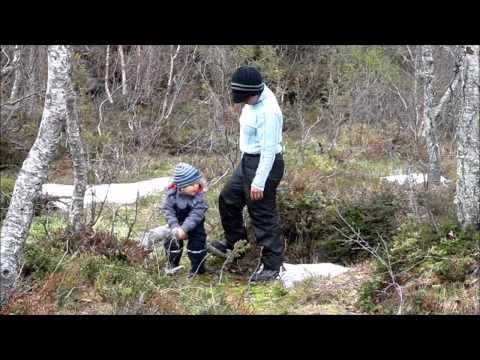 download lagu mp3 mp4 Todlin, download lagu Todlin gratis, unduh video klip Todlin