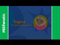PBS Kids Pinball Sagwa The Chinese Siamese Cat 2002